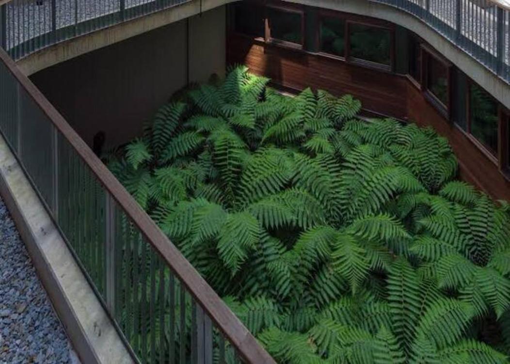 Nishi Holiday Apartments Canberra Buitenkant foto